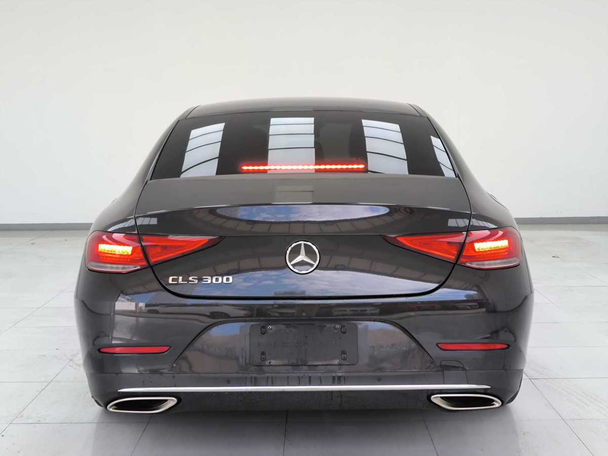 奔驰 奔驰CLS级  2023款 改款 CLS 300 动感型图片