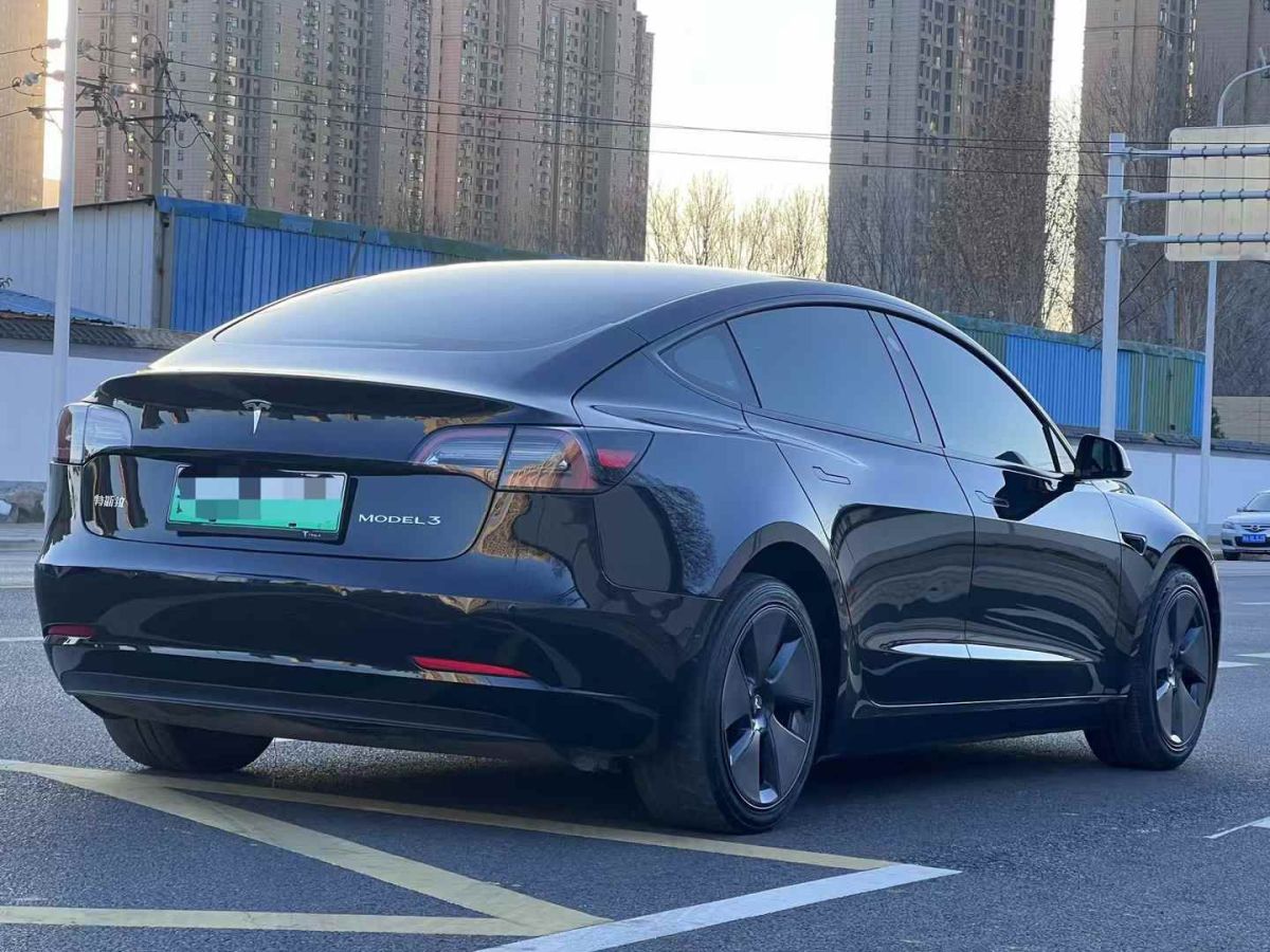 特斯拉 Model 3  2022款 Performance高性能全輪驅(qū)動(dòng)版圖片