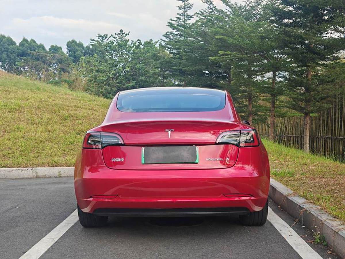 2021年10月特斯拉 Model Y  2021款 標(biāo)準(zhǔn)續(xù)航后驅(qū)升級版 3D6