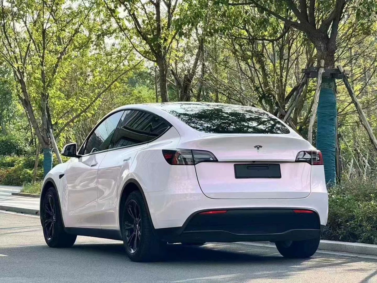 特斯拉 Model Y  2022款 Performance高性能全輪驅(qū)動(dòng)版圖片