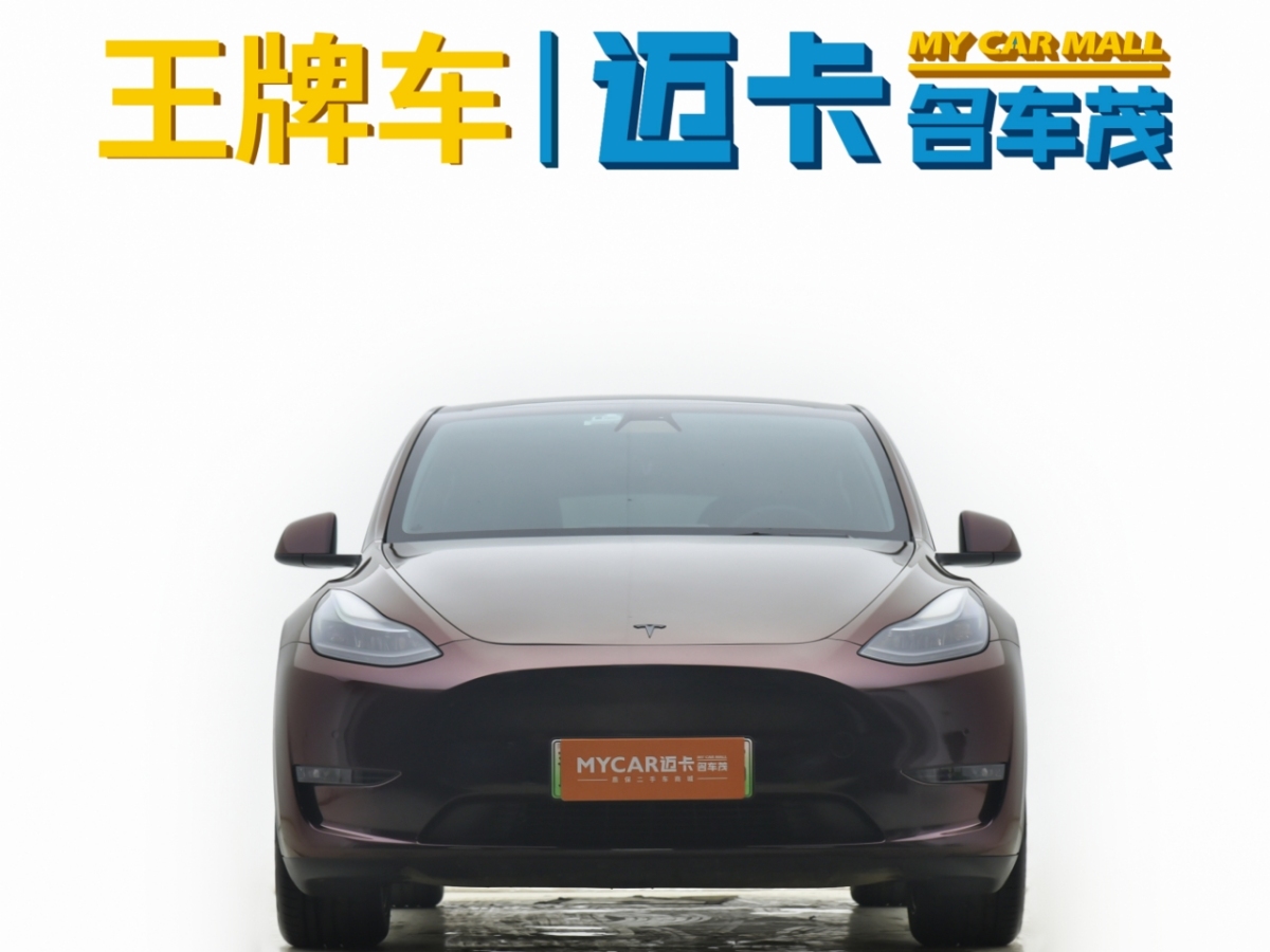 特斯拉 Model 3  2021款 改款 標(biāo)準(zhǔn)續(xù)航后驅(qū)升級(jí)版圖片