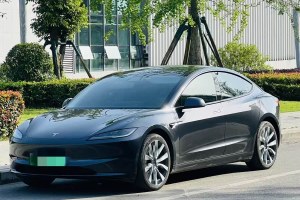 Model 3 特斯拉 長(zhǎng)續(xù)航全輪驅(qū)動(dòng)版