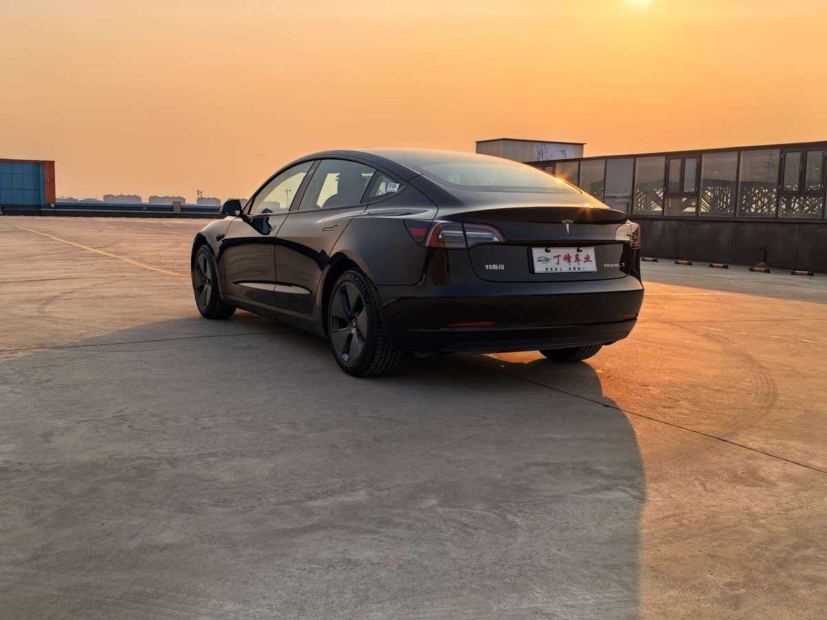 特斯拉 Model 3  2021款 標(biāo)準(zhǔn)續(xù)航后驅(qū)升級(jí)版圖片