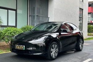 Model Y 特斯拉 改款 后輪驅(qū)動版