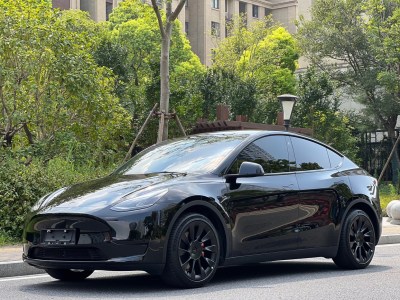 2021年12月 特斯拉 Model Y 改款 標準續(xù)航后驅升級版圖片