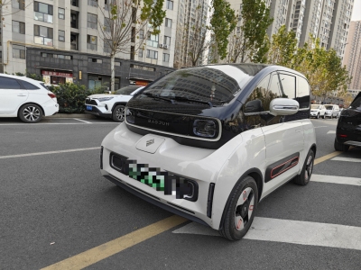 2021年11月 寶駿 寶駿KiWi EV 藝術(shù)家 三元鋰圖片