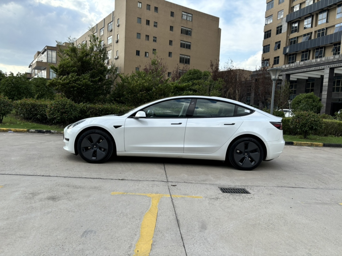 特斯拉 Model Y  2021款 標準續(xù)航后驅(qū)升級版圖片