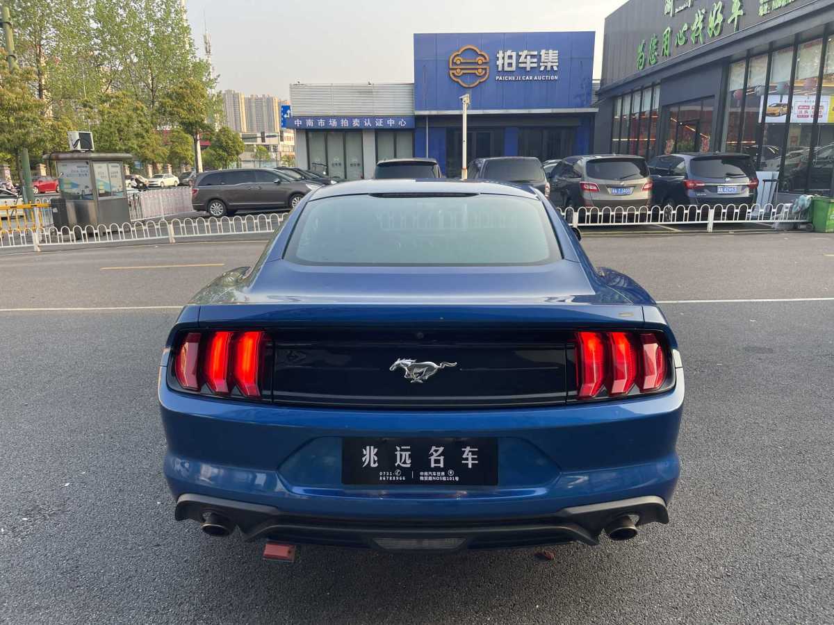 2019年10月福特 Mustang  2019款 2.3L EcoBoost