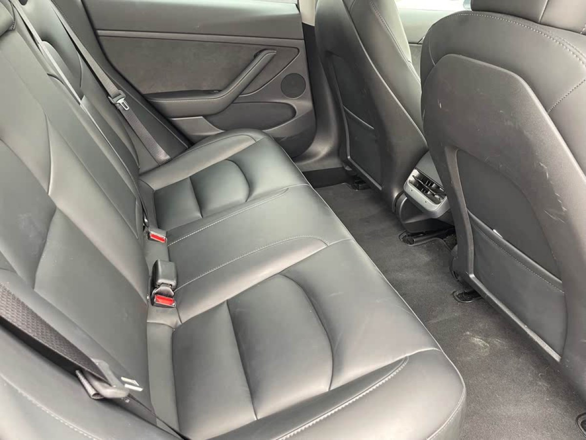 特斯拉 Model 3  2022款 后輪驅(qū)動版圖片