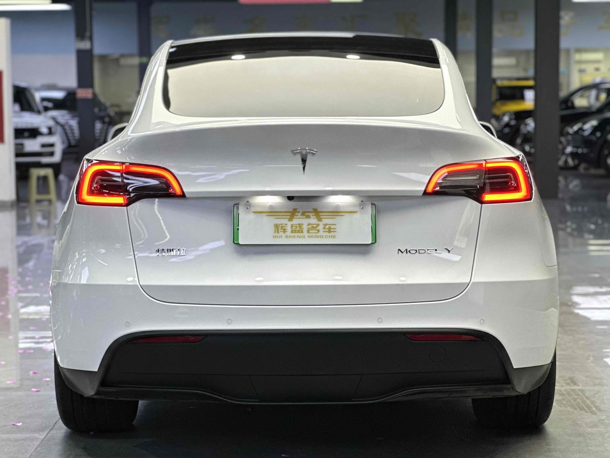 特斯拉 Model 3  2020款 改款 長續(xù)航后輪驅(qū)動版圖片