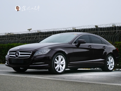 2013年11月 奔馳 奔馳CLS級(jí)(進(jìn)口) CLS 300 CGI圖片