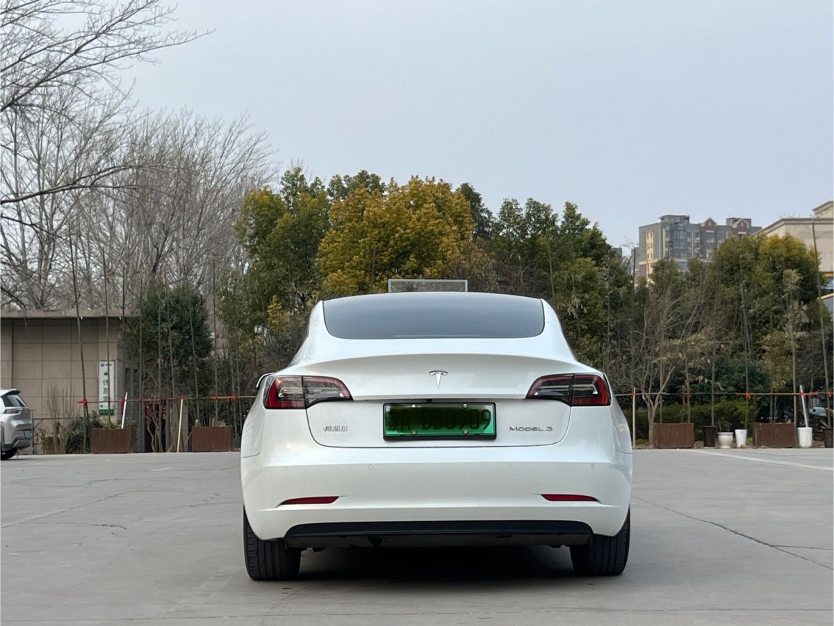 特斯拉 Model 3  2019款 標準續(xù)航后驅升級版圖片