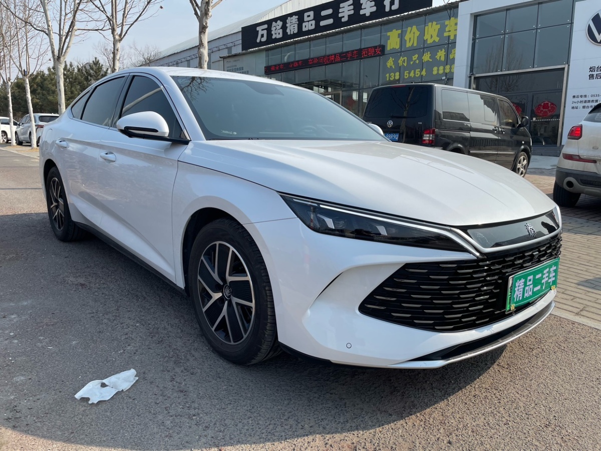 比亞迪 秦L  2024款 DM-i 80KM超越型圖片