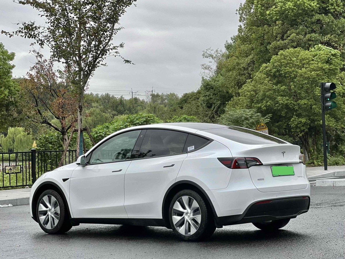 特斯拉 Model Y  2020款 改款 长续航后轮驱动版图片