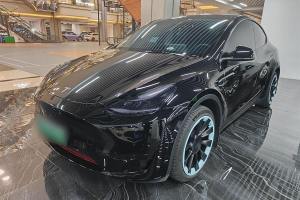 Model Y 特斯拉 后轮驱动版