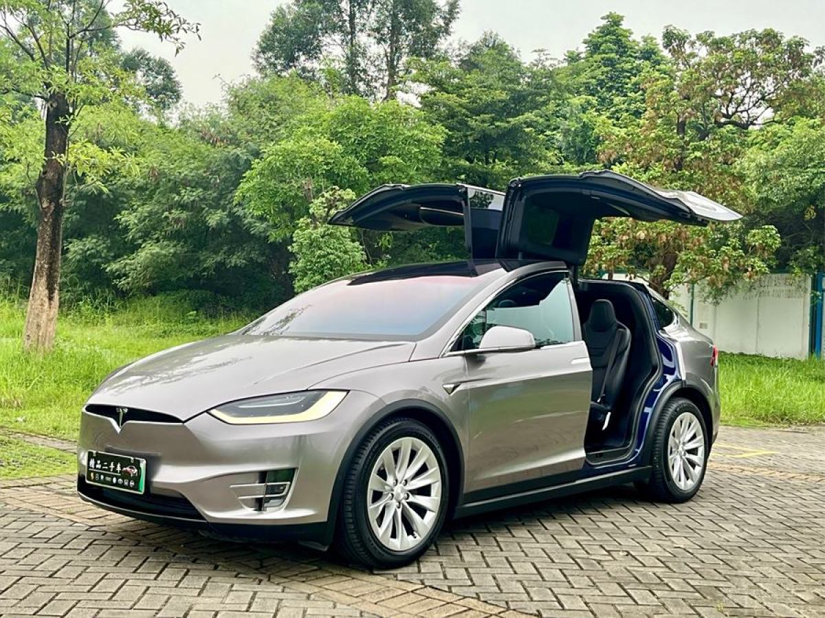 特斯拉 Model X  2016款 Model X 75D圖片