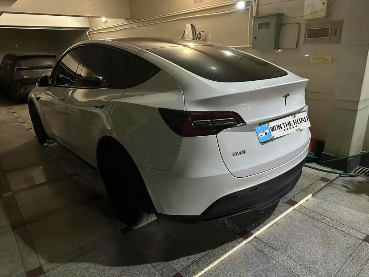 特斯拉 Model 3  2022款 Performance高性能全輪驅(qū)動(dòng)版圖片