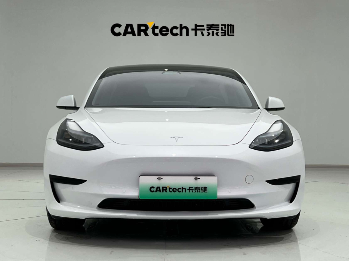 特斯拉 Model 3  2022款 后輪驅(qū)動(dòng)版圖片