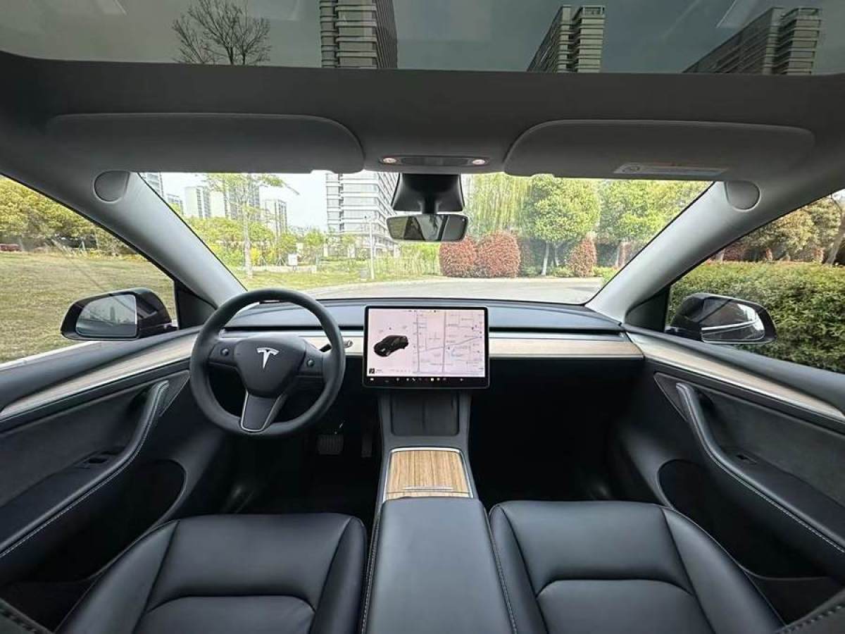 特斯拉 Model Y  2020款 改款 長續(xù)航后輪驅(qū)動版圖片