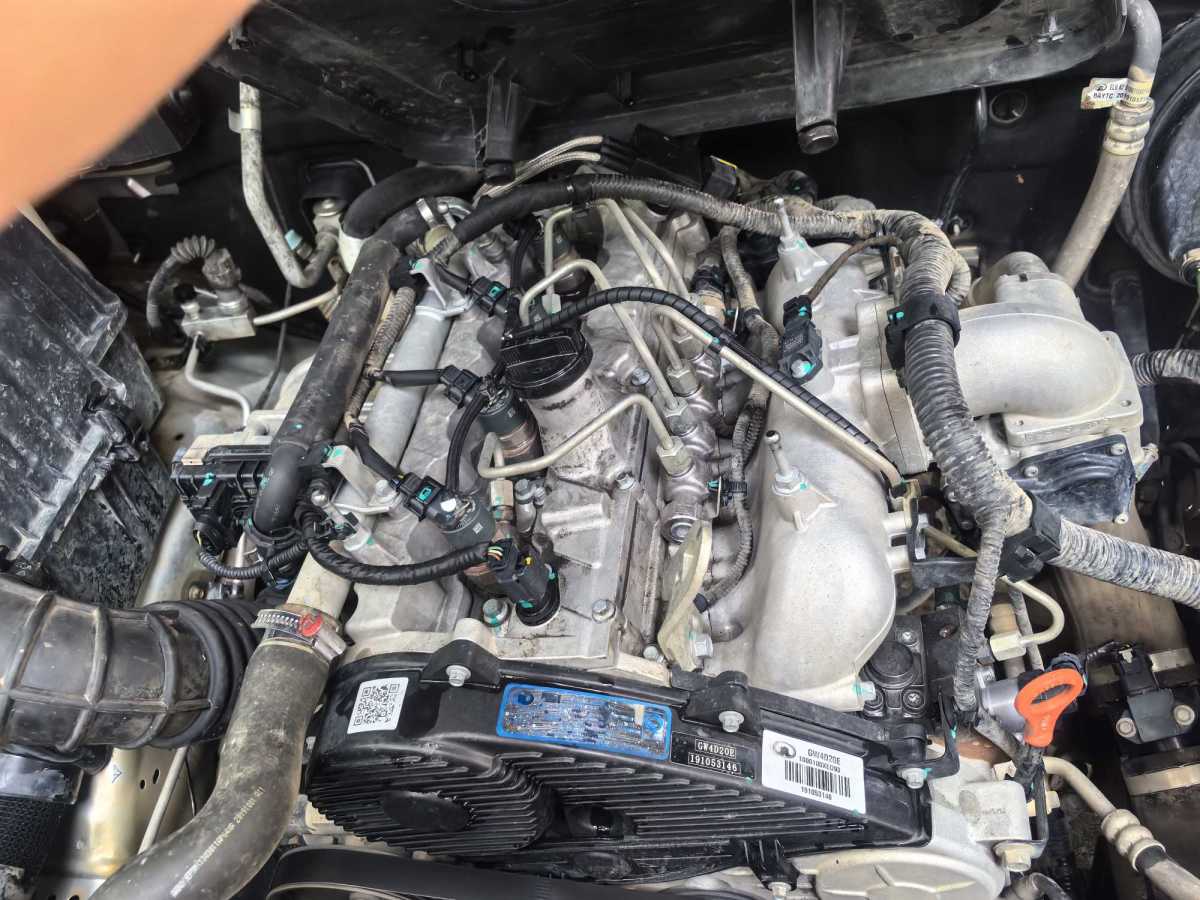 长城 风骏5  2017款 2.0T欧洲版柴油两驱进取型大双排GW4D20E图片