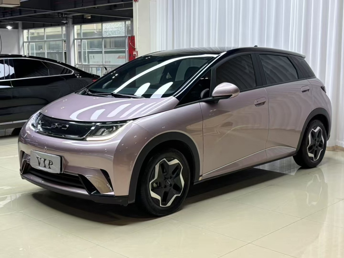 比亞迪 海豚  2021款 405km 自由版圖片