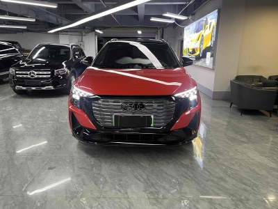 2022年4月 奥迪 奥迪Q5 e-tron 50 e-tron quattro edition one 艺创典藏版图片