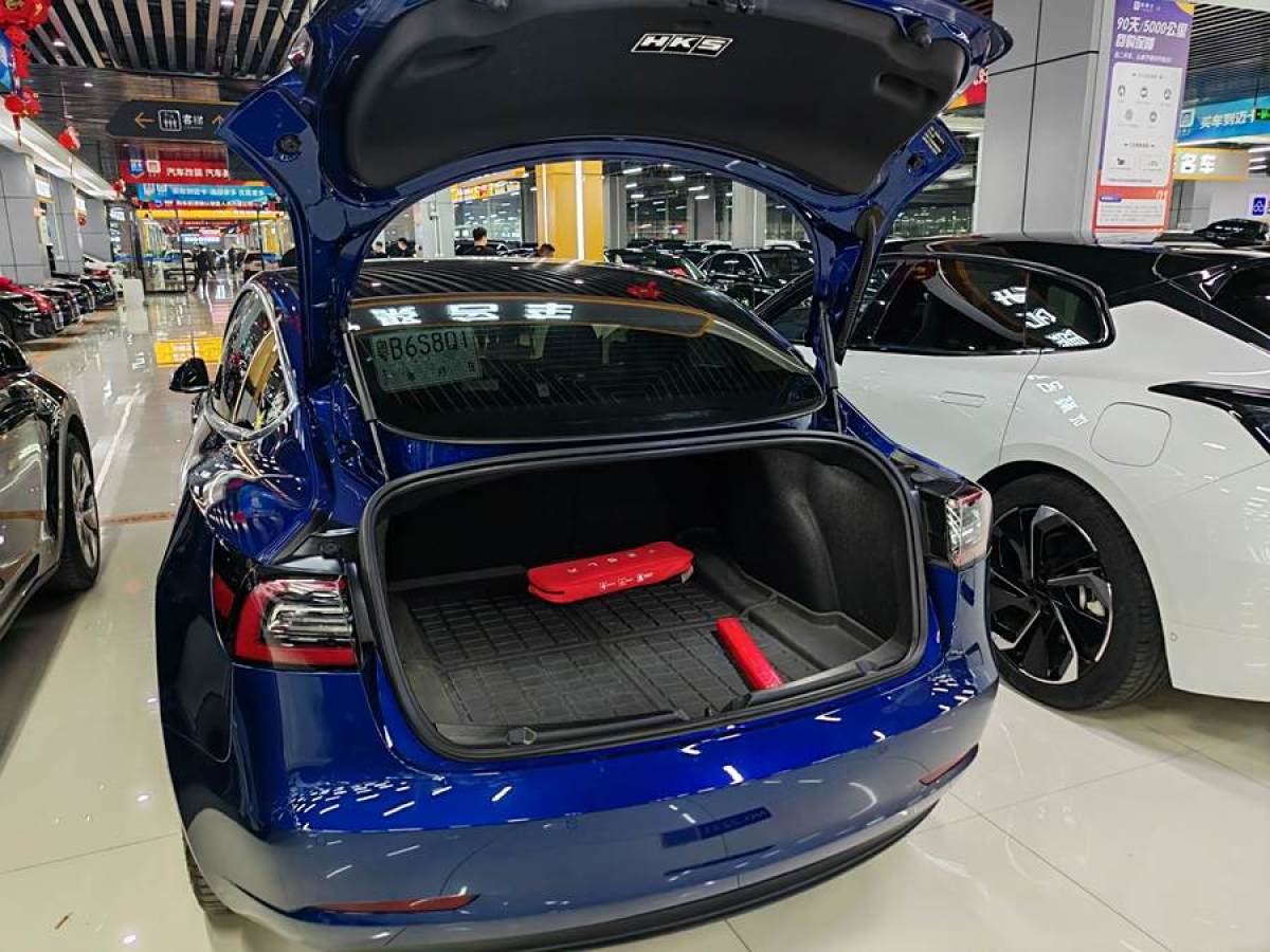 特斯拉 Model 3  2020款 改款 標準續(xù)航后驅(qū)升級版圖片