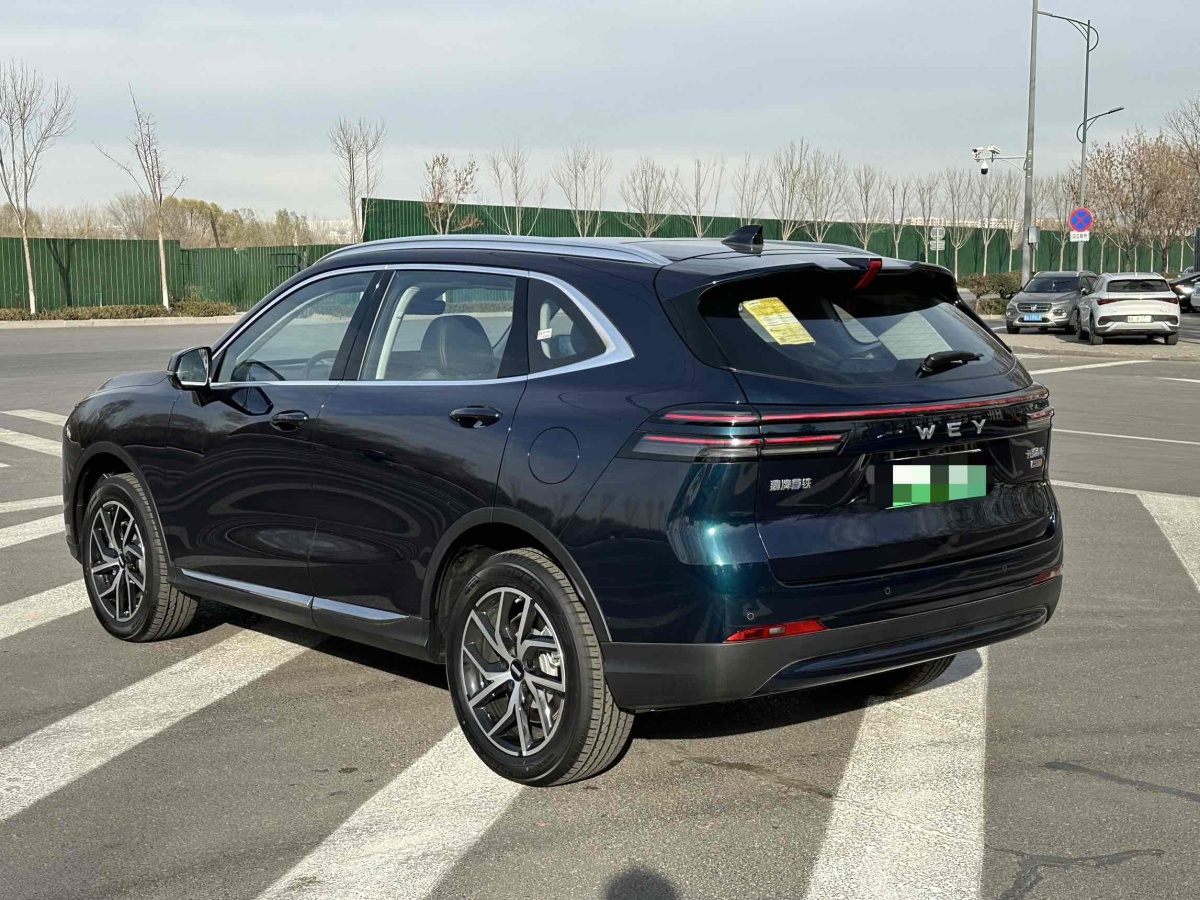 WEY 拿鐵DHT-PHEV  2022款 1.5T 四驅(qū)超大杯圖片