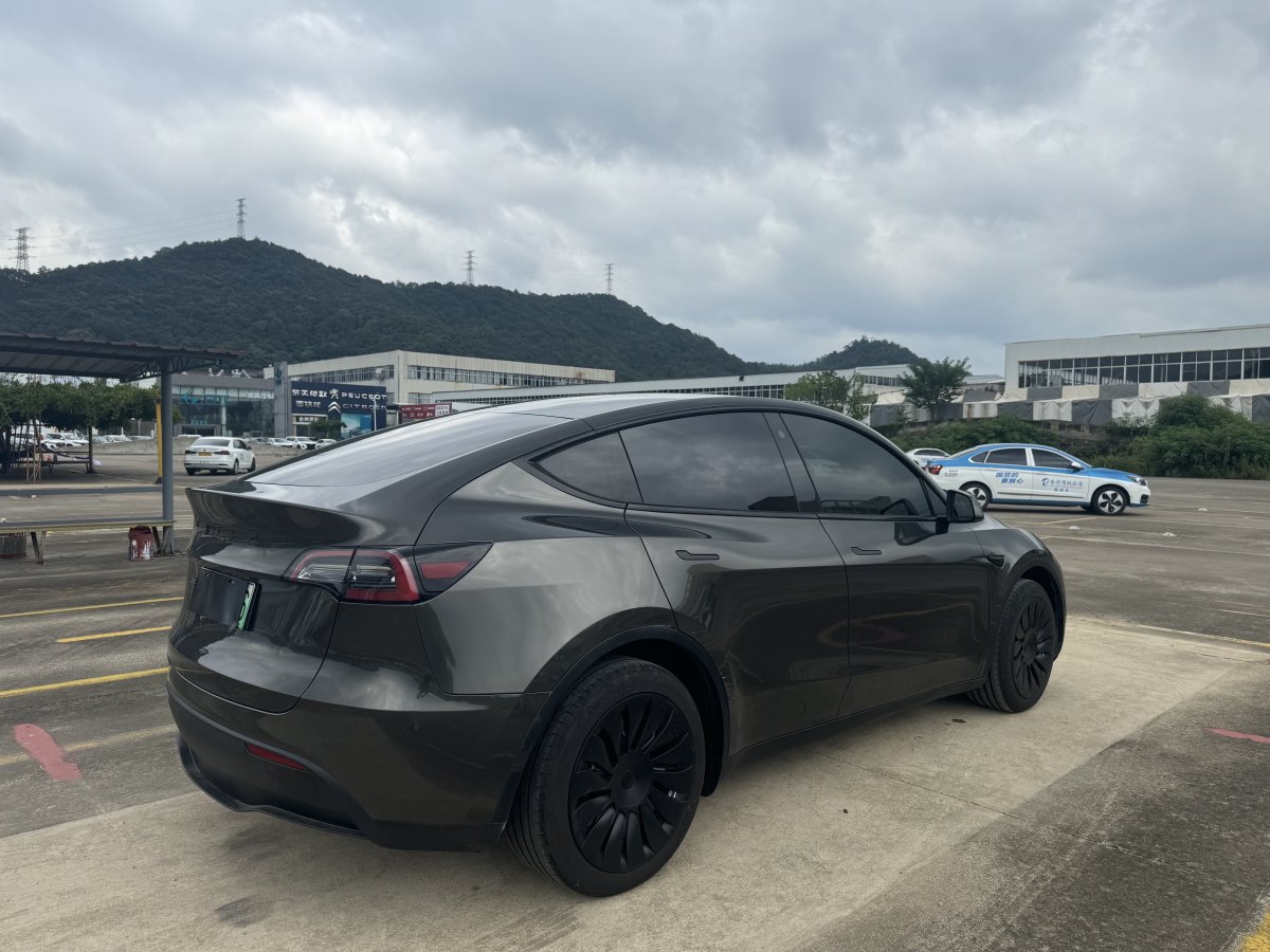 特斯拉 Model Y  2021款 改款 Performance高性能全輪驅(qū)動版圖片