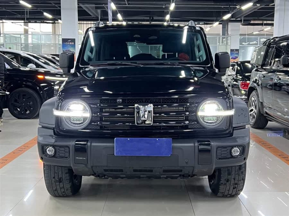坦克 坦克300  2024款 2.0T 挑戰(zhàn)者圖片