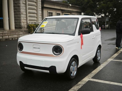 吉利 熊貓mini  2023款 200km 耐力熊