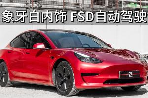 Model 3 特斯拉 改款 標準續(xù)航后驅(qū)升級版