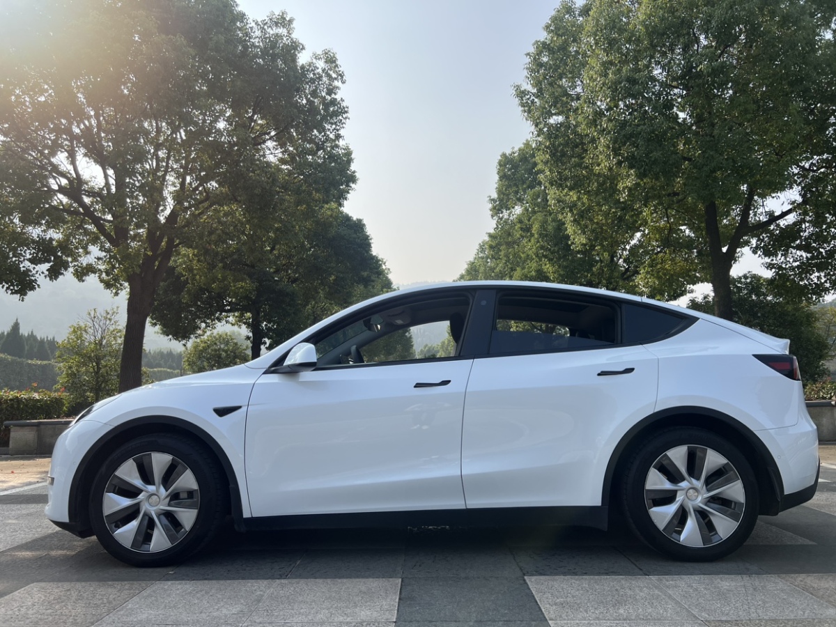 特斯拉 Model Y  2021款 改款 標(biāo)準(zhǔn)續(xù)航后驅(qū)升級版圖片