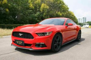 Mustang 福特 2.3T 性能版