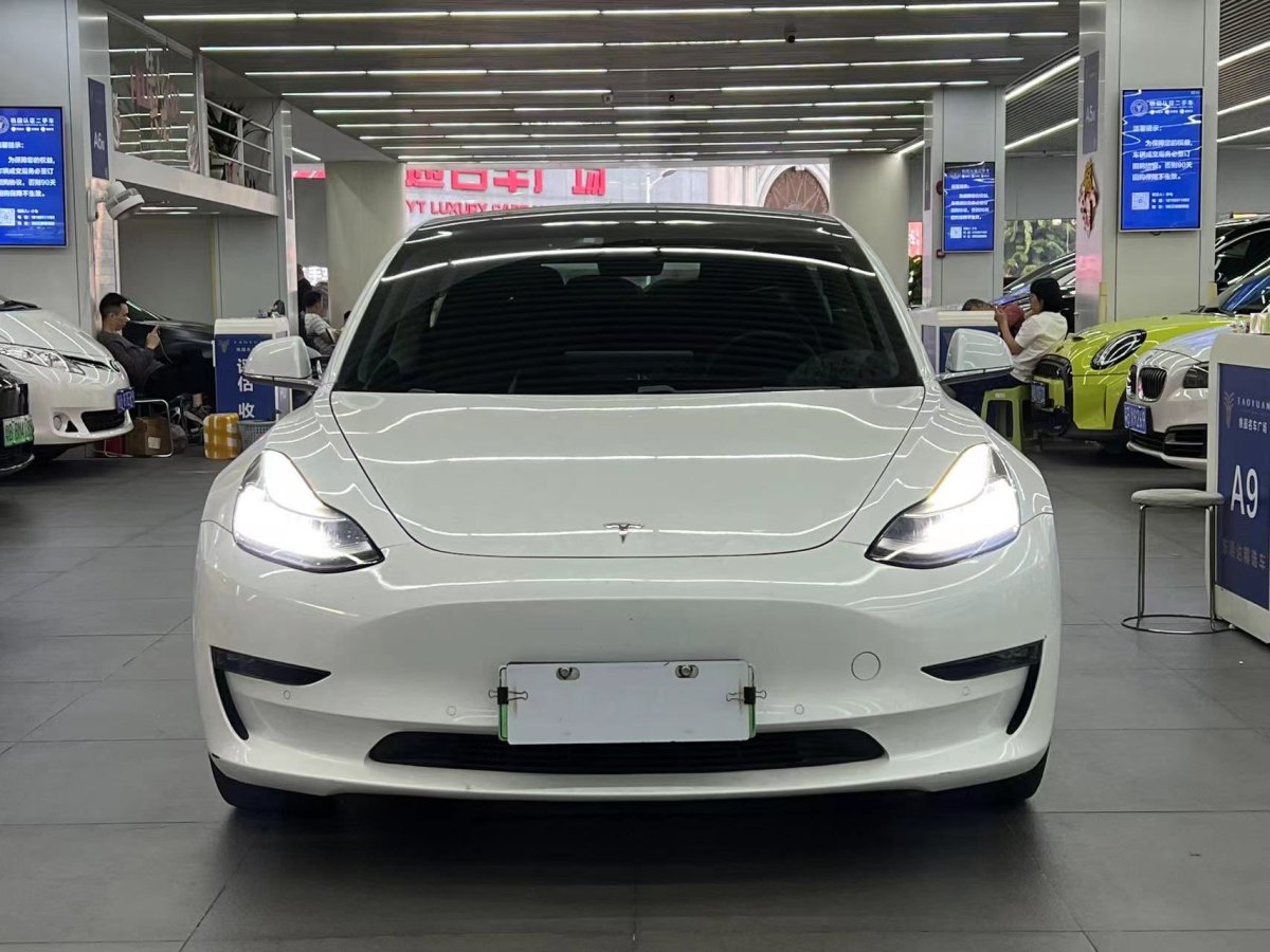 特斯拉 Model 3  2019款 長續(xù)航后驅(qū)版圖片