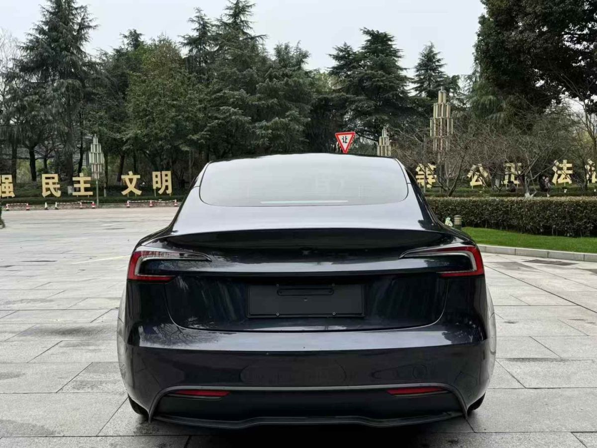 特斯拉 Model Y  2024款 Performance高性能版圖片