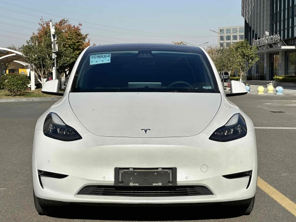 特斯拉 Model Y  2021款 长续航全轮驱动版 3D7