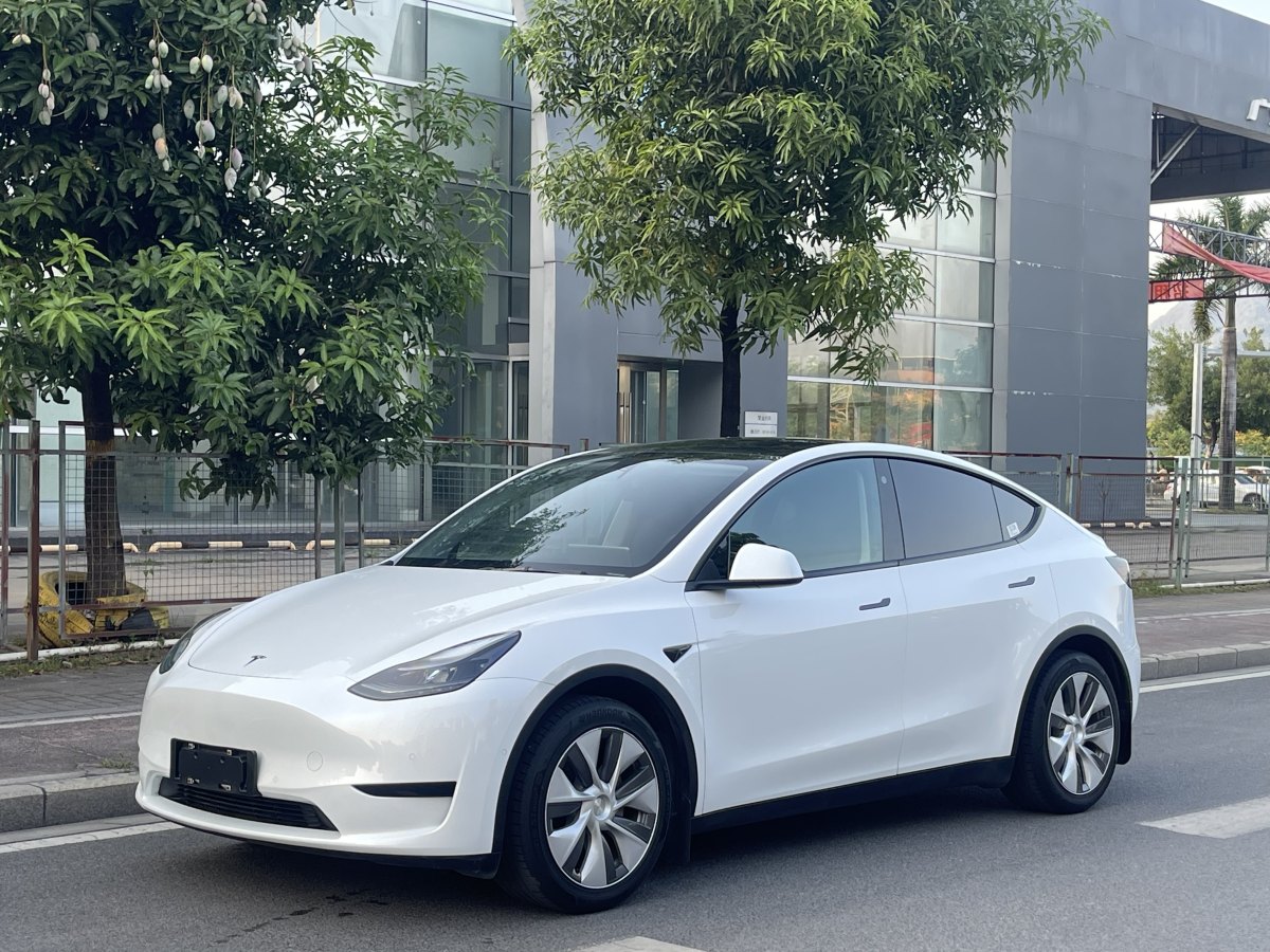 特斯拉 Model Y  2022款 后輪驅(qū)動版圖片