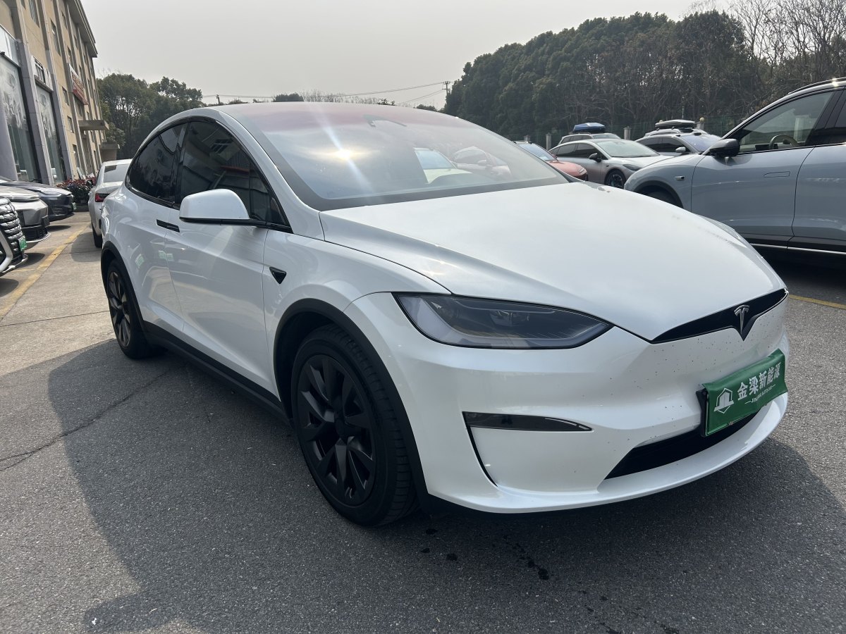 特斯拉 Model X  2023款 雙電機(jī)全輪驅(qū)動(dòng)版圖片