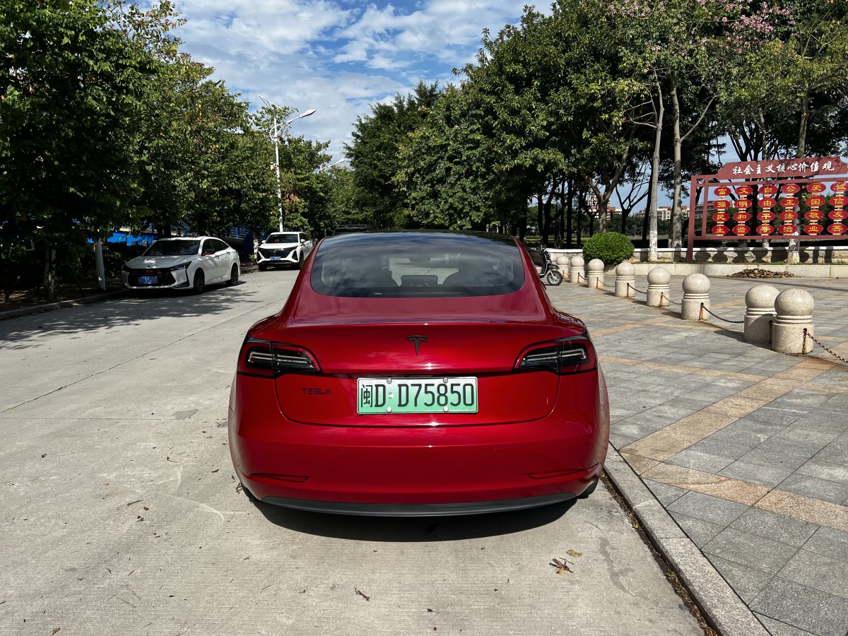 特斯拉 Model 3  2019款 標(biāo)準(zhǔn)續(xù)航后驅(qū)升級(jí)版圖片