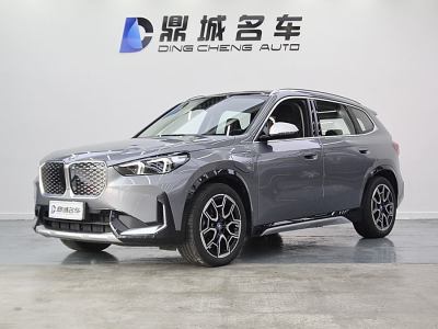 2024年1月 寶馬 寶馬iX1 xDrive30L X設(shè)計套裝圖片