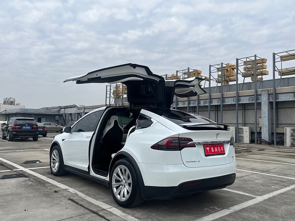 特斯拉 Model X  2017款 Model X 100D 長續(xù)航版圖片