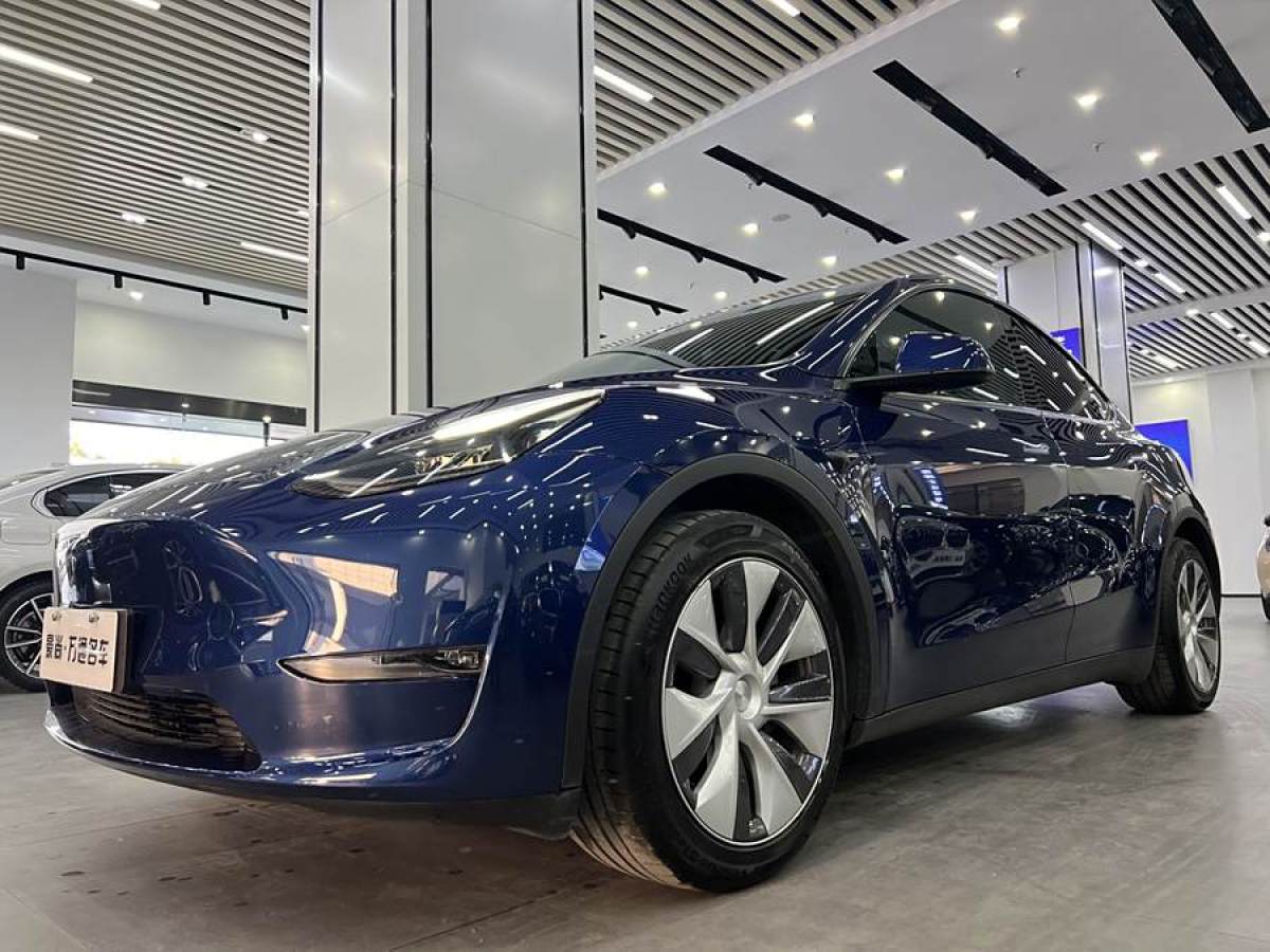 特斯拉 Model Y  2021款 改款 長(zhǎng)續(xù)航全輪驅(qū)動(dòng)版圖片