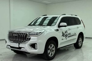 H9 哈弗 2.0T 汽油四驅(qū)豪華型 7座