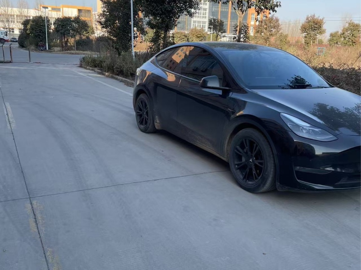 特斯拉 Model Y  2021款 標(biāo)準(zhǔn)續(xù)航后驅(qū)版圖片