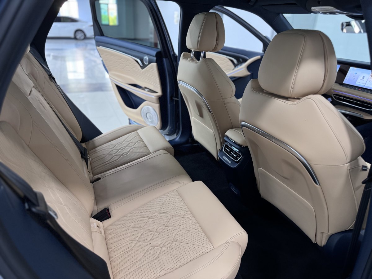 Lantu lantu free2021 4WD extended range exclusive luxury suit图片