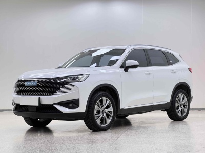 2022年10月 哈弗 哈弗H6新能源 DHT-PHEV 110KM 悅行版圖片