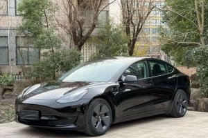 Model 3 特斯拉 后輪驅(qū)動(dòng)版