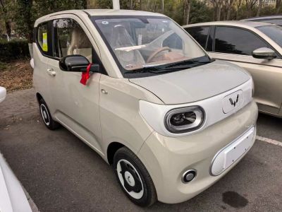 2025年5月 五菱 菱勢黃金小卡 倉柵 頂配版圖片