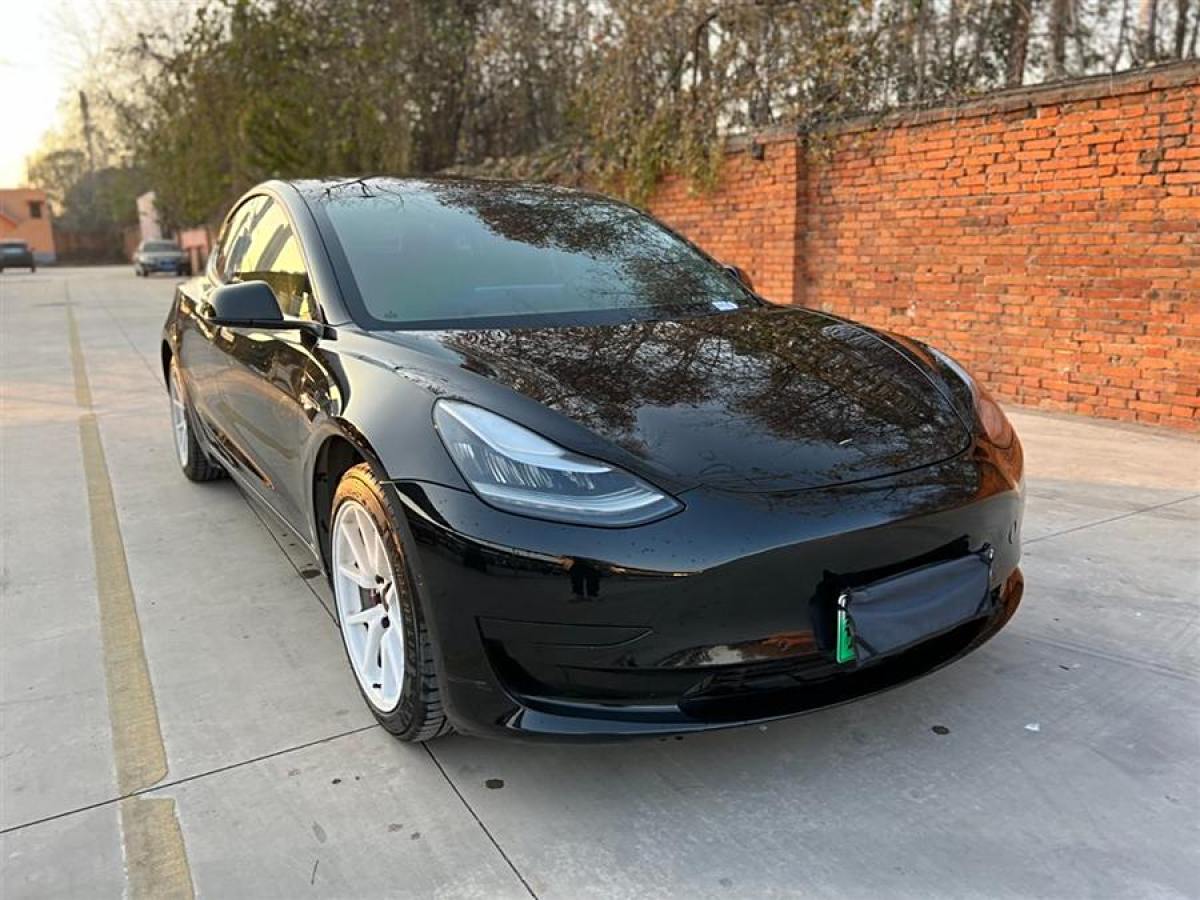 特斯拉 Model 3  2020款 改款 標(biāo)準(zhǔn)續(xù)航后驅(qū)升級(jí)版圖片